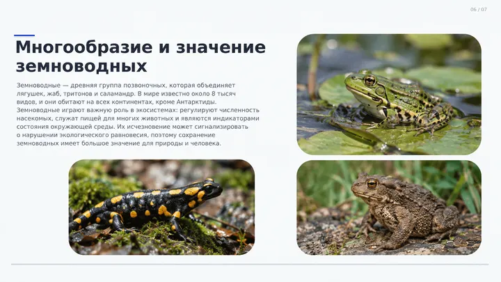 Пример слайда: Многообразие земноводных